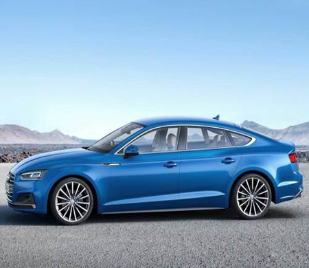 硝基面漆 硝基面漆